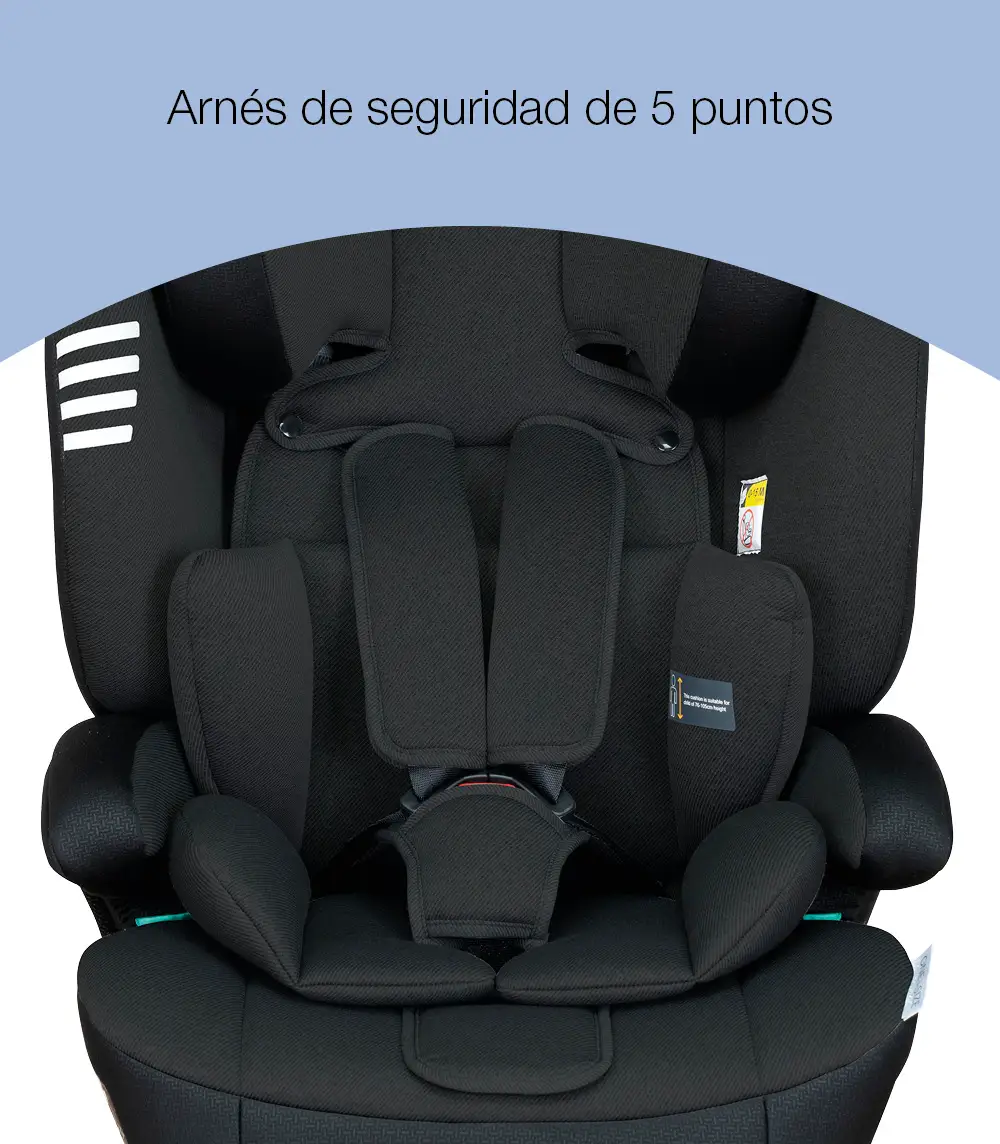 oneisize725blackeaglearnes