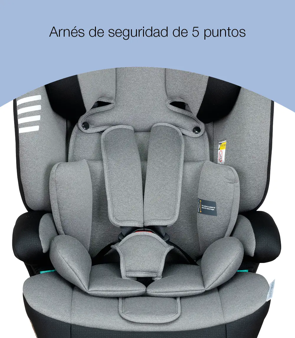 oneisize726greyeaglearnes