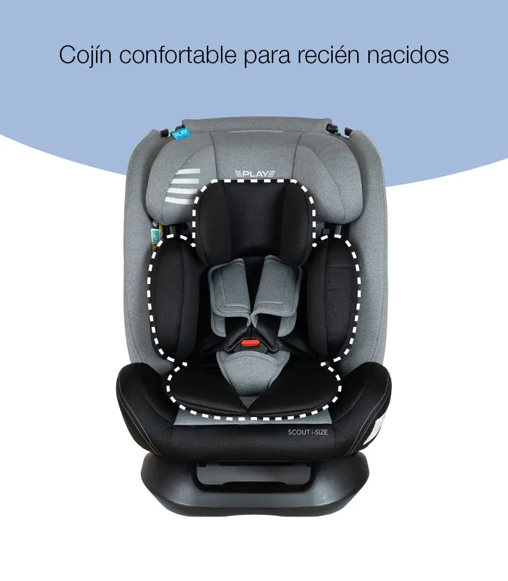 scoutisize726greyeaglecojín