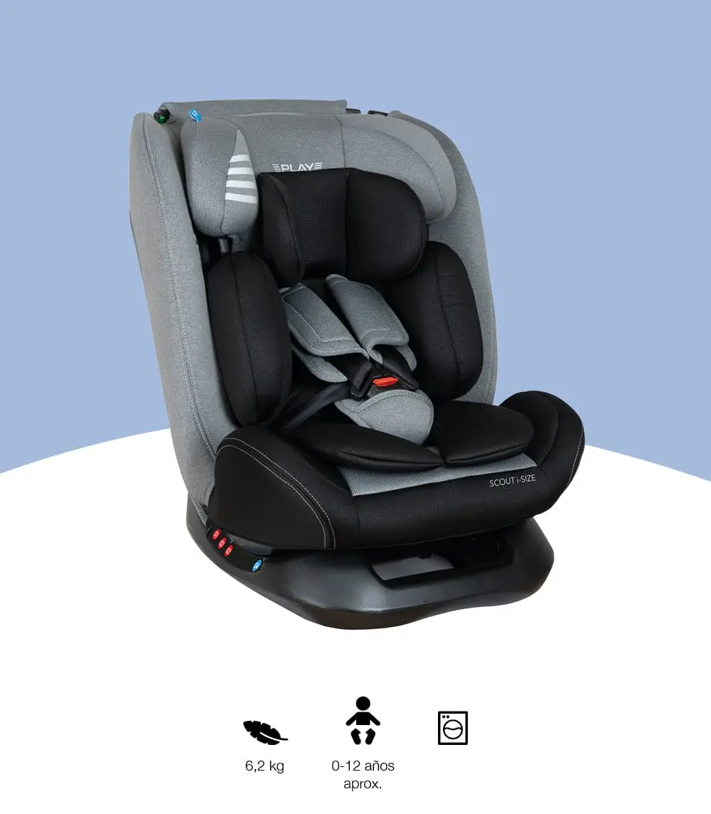 scoutisize726greyeaglepesoaños